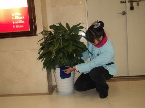 �Ƶ걣���й�